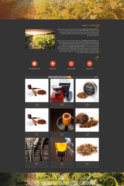 Website 3